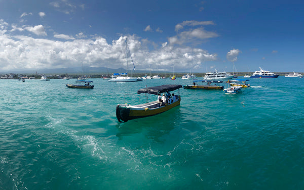 GALÁPAGOS : QUOI VOIR ET QUOI FAIRE||GALAPAGOS: WHAT TO SEE AND WHAT TO DO