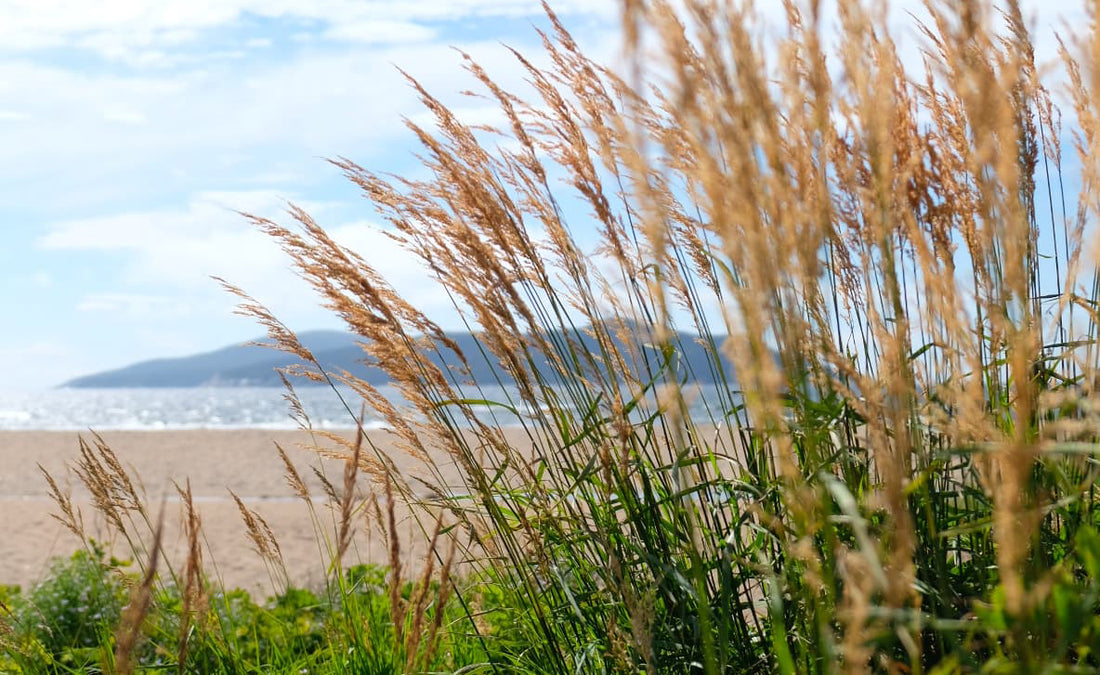 La Côte-Nord hors des sentiers battus||Exploring the Côte-Nord off the beaten track