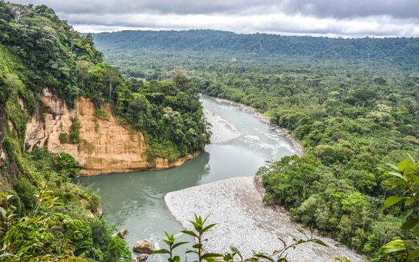 DÉCOUVRIR L'AMAZONE AVEC FIG || DISCOVER THE AMAZON WITH FIG