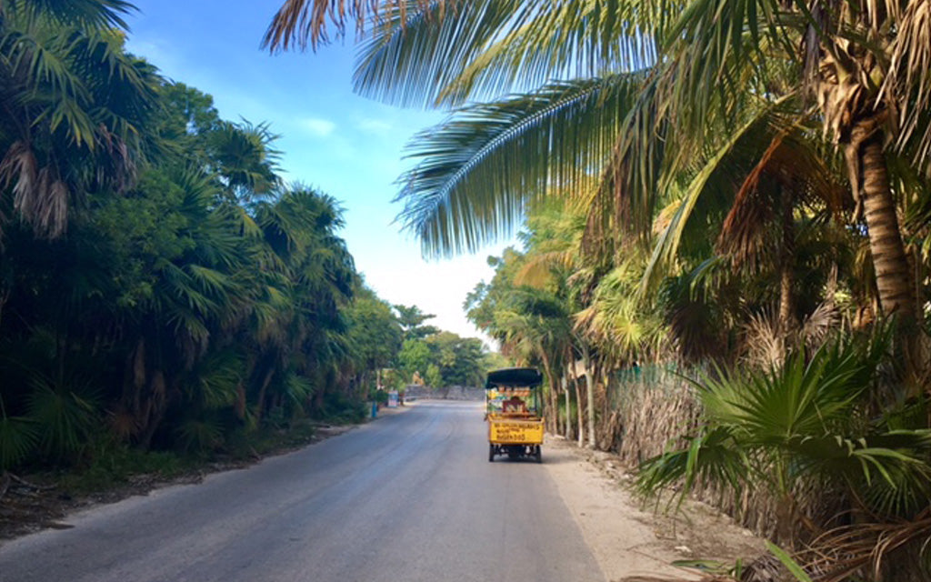 TULUM ET SES ENVIRONS||IN AND AROUND TULUM